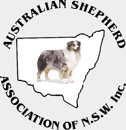 bold Relaterede musikkens Australian Shepherd Association of NSW Inc | Enjoying and Promoting the Australian  Shepherd in NSW